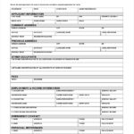 FREE 9 Sample Rental Application Forms In PDF MS Word Excel