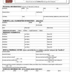 21 Printable Rental Application Templates Free Premium Templates
