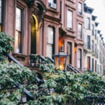 Douglas Elliman Rental Application Form Project Binders Real Estate